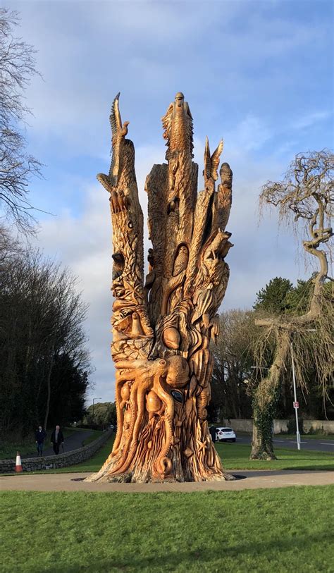 Amazing Tree Carving St Annes Park Dublin Ireland Rpics