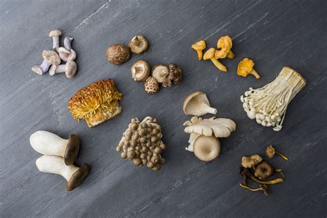 Is The Black Part Of A Mushroom Edible Exploring Mushroom Edibility