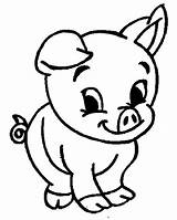 Pig Coloring Cute Pages Animal Farm Pigs Baby sketch template
