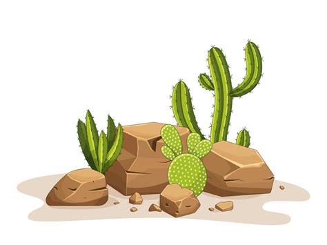 Cactus With Thorns And Stones Mexican Green Plant With Spines And