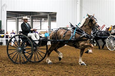 Midwest Draft Horse Classic Show & Pull — The Michiana Event Center
