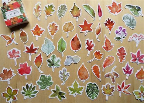 50 Woodland Autumn Leaf Stickers Fall Leaves Nature Plant Etsy