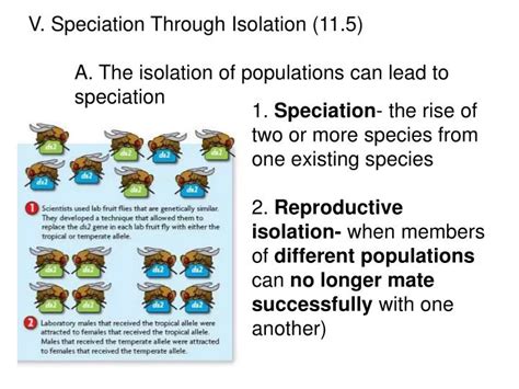 Ppt V Speciation Through Isolation 115 A The Isolation Of