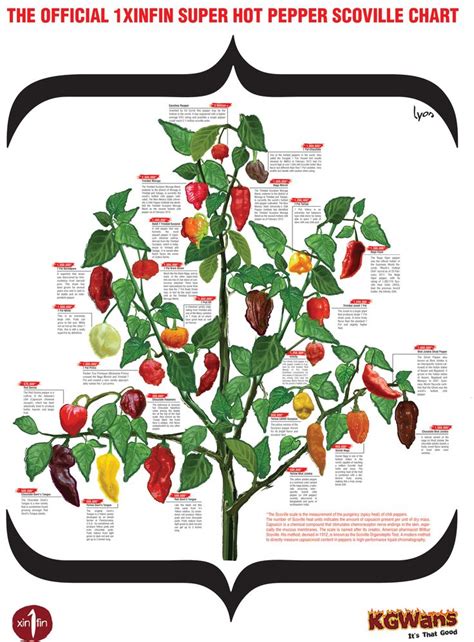 Hot Pepper Chart Recipes To Try Stuffed Peppers Hot Pepper Chart