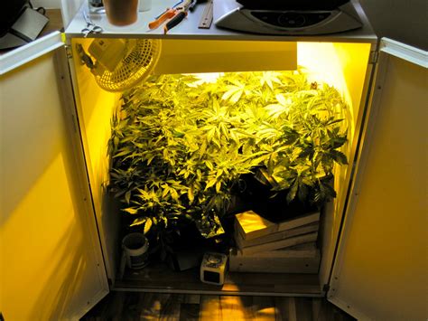 You've come to the right place! 15 Best List Of Cheap Grow Tents April 2021: {Top Amazon ...