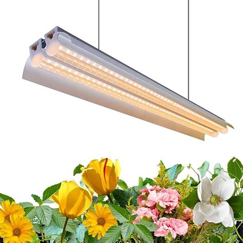 6 Best Grow Lights For Seedlings [may 2024] Reviews And Buying Guide