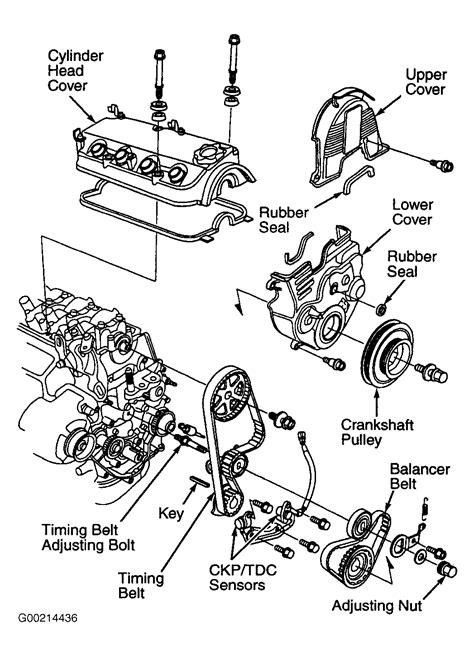 1998 Honda Accord Serpentine Belt Routing And Timing Belt Diagrams