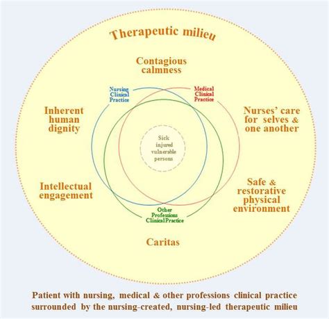 The Therapeutic Milieu Careful Nursing