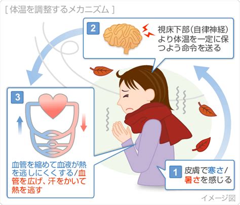 基礎代謝力を高めて、現代人を悩ませる「冷え性」を改善しよう！ tsukubaロボッツ動画配信倉庫 つくばロボッツ