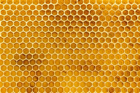 Bee Hive Wallpapers Wallpaper Cave