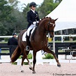 Lisa Wilcox & Gallant Reflection HU Compete at Developing Grand Prix ...