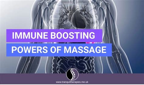 Massage And Your Immune System