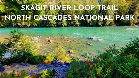 Skagit River Loop Trail North Cascades National Park Youtube