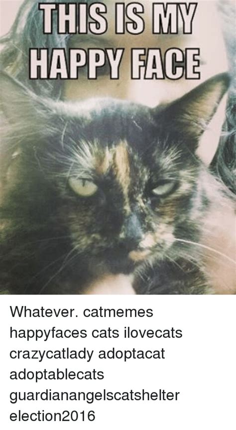 This Is My Happy Face Whatever Catmemes Happyfaces Cats Ilovecats