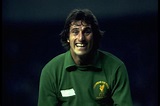 Ray Clemence: Tributes pour in after former England, Tottenham and ...