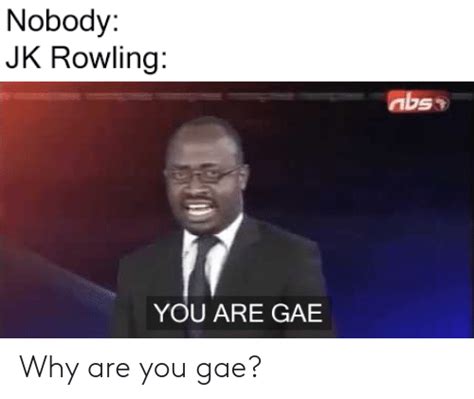 Nobody Jk Rowling You Are Gae Why Are You Gae Jk Rowling Meme On Meme