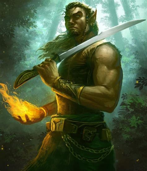 5e Wood Elf Magic Racial Feat Guide Assorted Meeples