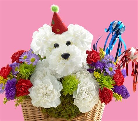 Your favorite blooms — from roses and peonies to lilies and daisies — send specific messages. Party Animals | Animal Shaped Flowers | 1800Flowers.com