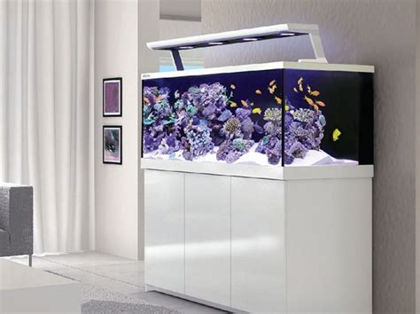 Red Sea And Coral Reef Aquariums