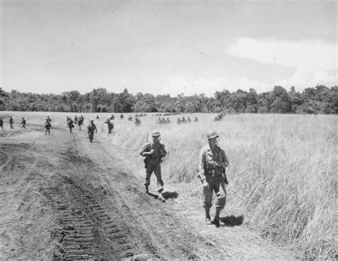 41st Division Soldiers Advances In Jungle Of Biak 1944 World War Photos