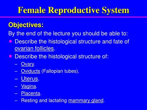 Ppt Female Reproductive System Powerpoint Presentation Free Download Id9556948