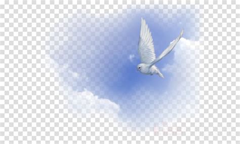 Holy Spirit Fire Png Image With Transparent Background Toppng Images