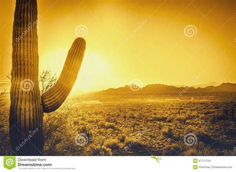 Beautiful Arizona Desert Sunset Stock Photo Image Of