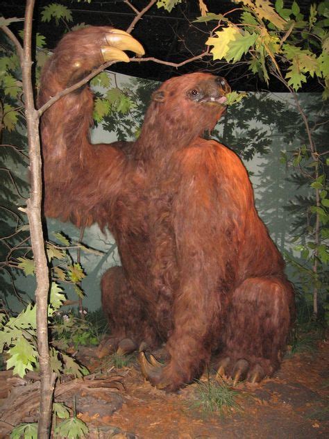 Giant Ground Sloth Animales prehistóricos Glaciación Animales