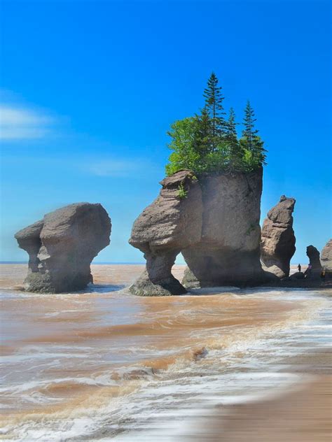 Bay Of Fundy View 芬迪湾美景 Beautiful Waterfalls Fantasy Forest Nature