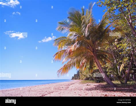 Midday From Beach Of Puerto Rico Stock Photo Alamy