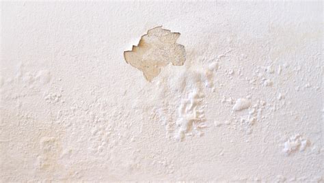 | homeadvisor prescreened disaster recovery pros in west hollywood, ca. Water Damage - BMI Company, Inc.