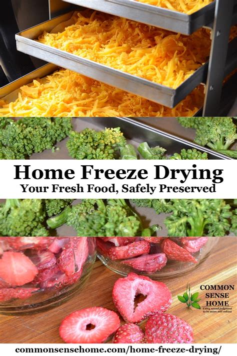 Dry ice will let all of the water in the food evaporate much quicker than in a freezer. Home Food Preservation - 10 Ways to Preserve Food at Home