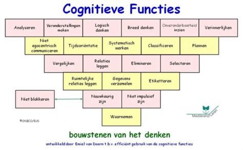 Uitwerking Van De Cognitieve Functies Deel 1 3