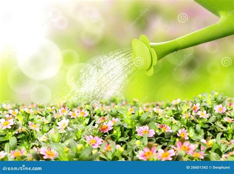 Water Pouring Flower Stock Photography Image 26601342