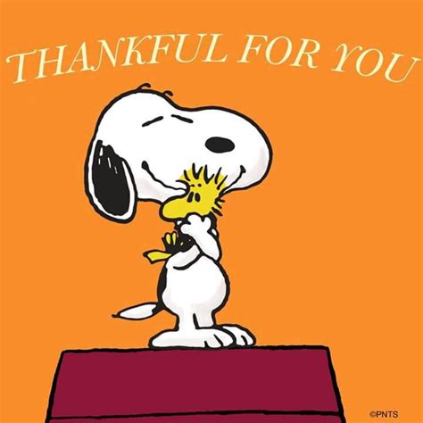 Thankful For You Snoopy Quotes Thanksgiving Snoopy Snoopy