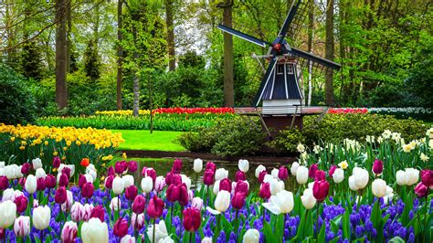Keukenhof Garden In Holland Parade Of Flowers 2023 Tickets Opening