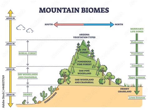 Mountain Biomes With Altitude And Merriams Life Zones Axis Outline Diagram Educational Climate