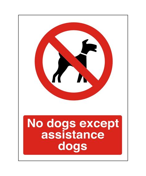 In addition to the kennel, you are permitted to bring one personal item onboard the aircraft. No Dogs Allowed Sign | Adva