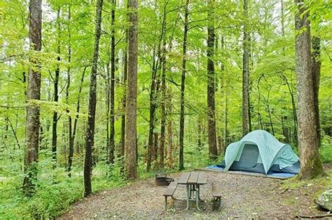 Best Campgrounds In Smoky Mountains September The Convenient Ones