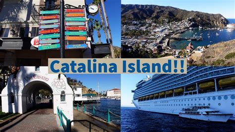 Day Trip To Catalina Island What You Should Do Youtube