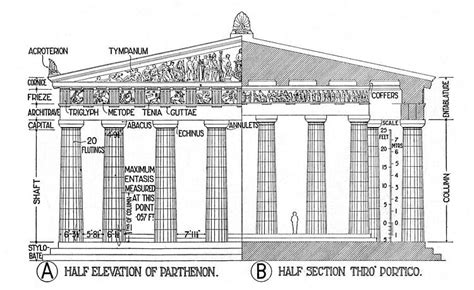 Architectural Elements Of The Parthenon Illustration Ancient