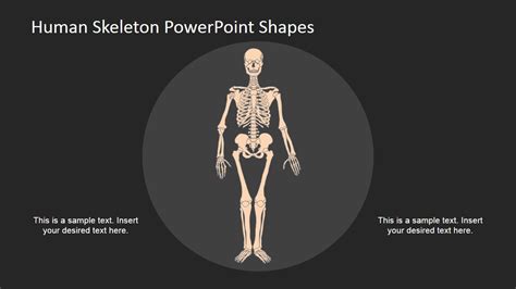 Powerpoint Ideas For Skeleton Model Slidemodel