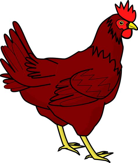 Chicken Hen Farm Animal · Free Vector Graphic On Pixabay