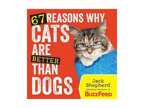 They wouldn't be called cool cats without these reasons whether dogs are better than cats or cats are better than dogs, your canine and feline pets both give enjoyment, affection, and companionship that will never ask something in return. 67 Reasons Why Cats Are Better Than Dogs - Newegg.com