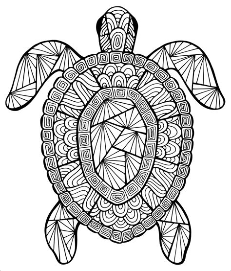Zentangle Turtles Adult Coloring Pages Coloringbay