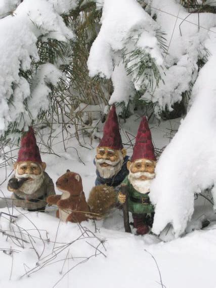 Woodland Gnomes Whimsical Woods