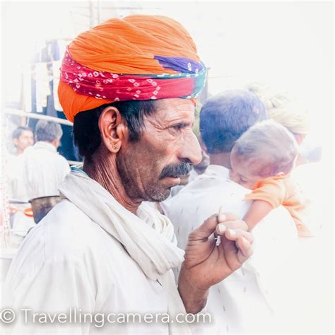 There is an arab saying trust in god and tie your camel to a tree. god has a part to play, and so do i. International Pushkar Camel Fair 2014 is going to be ...