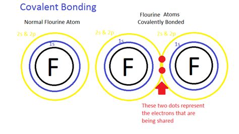 Chemical Bonding How Do Atoms Combine What Forces Bind Atoms Together