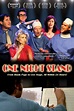 One Night Stand (2013) Película Latino Ver - Ver películas Online HD Gratis