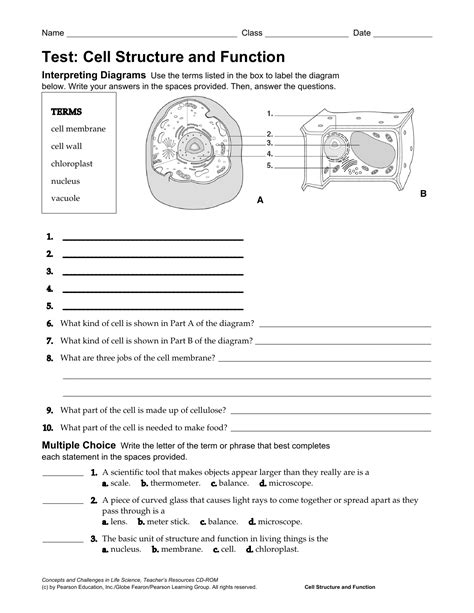 31 Chapter 3 Cell Structure And Function Worksheet Answers Support